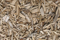 biomass boilers Cleat